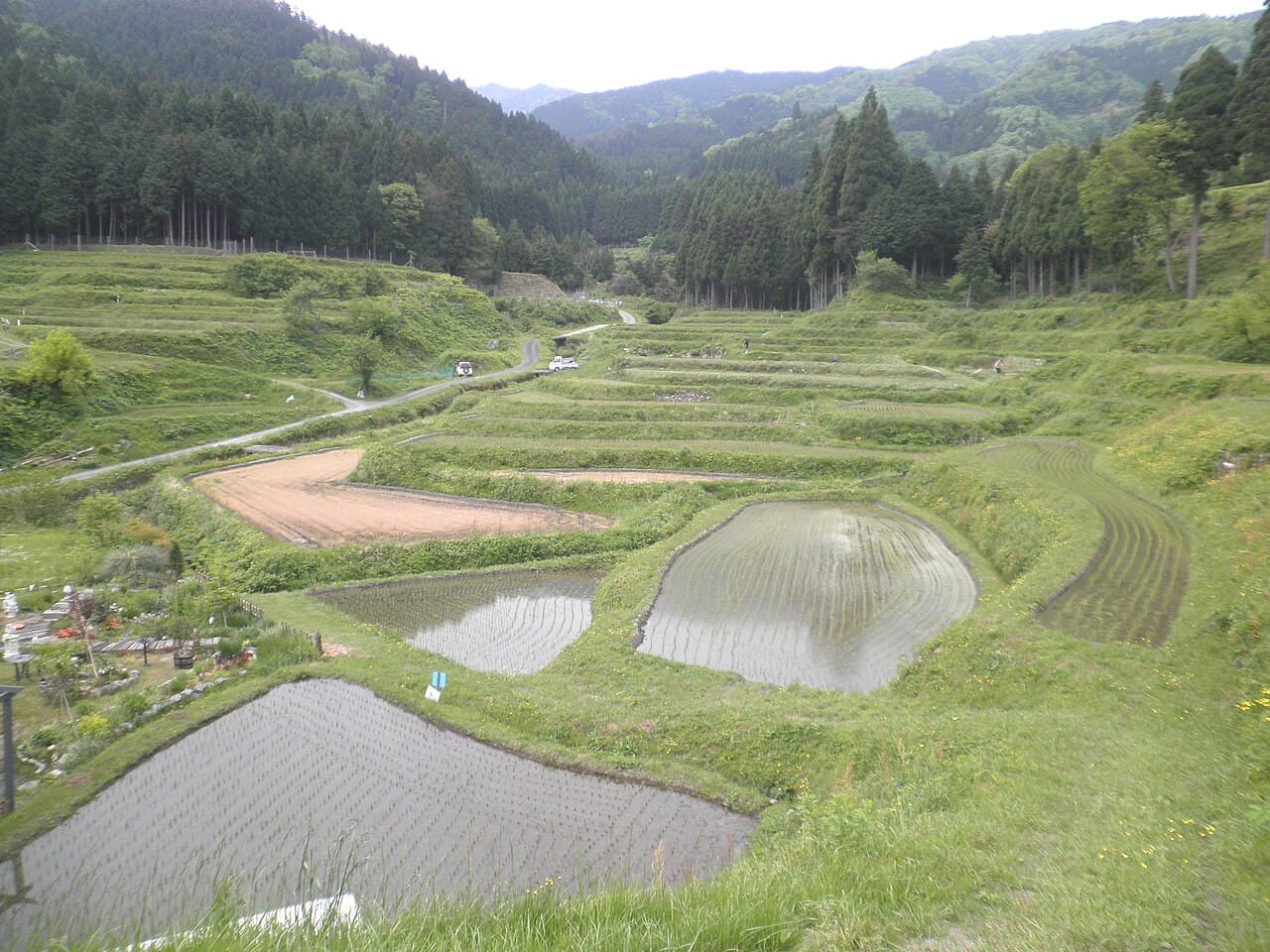 高島市畑地区に広がる棚田