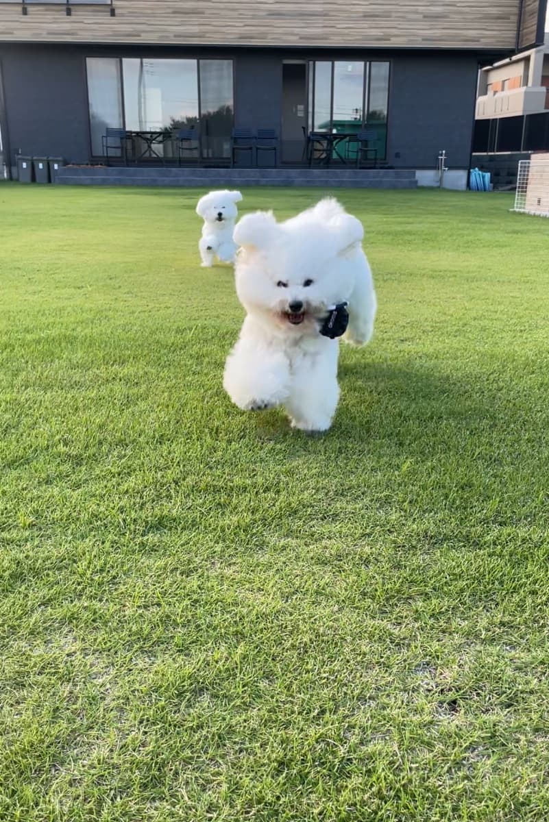 口コミ画像2