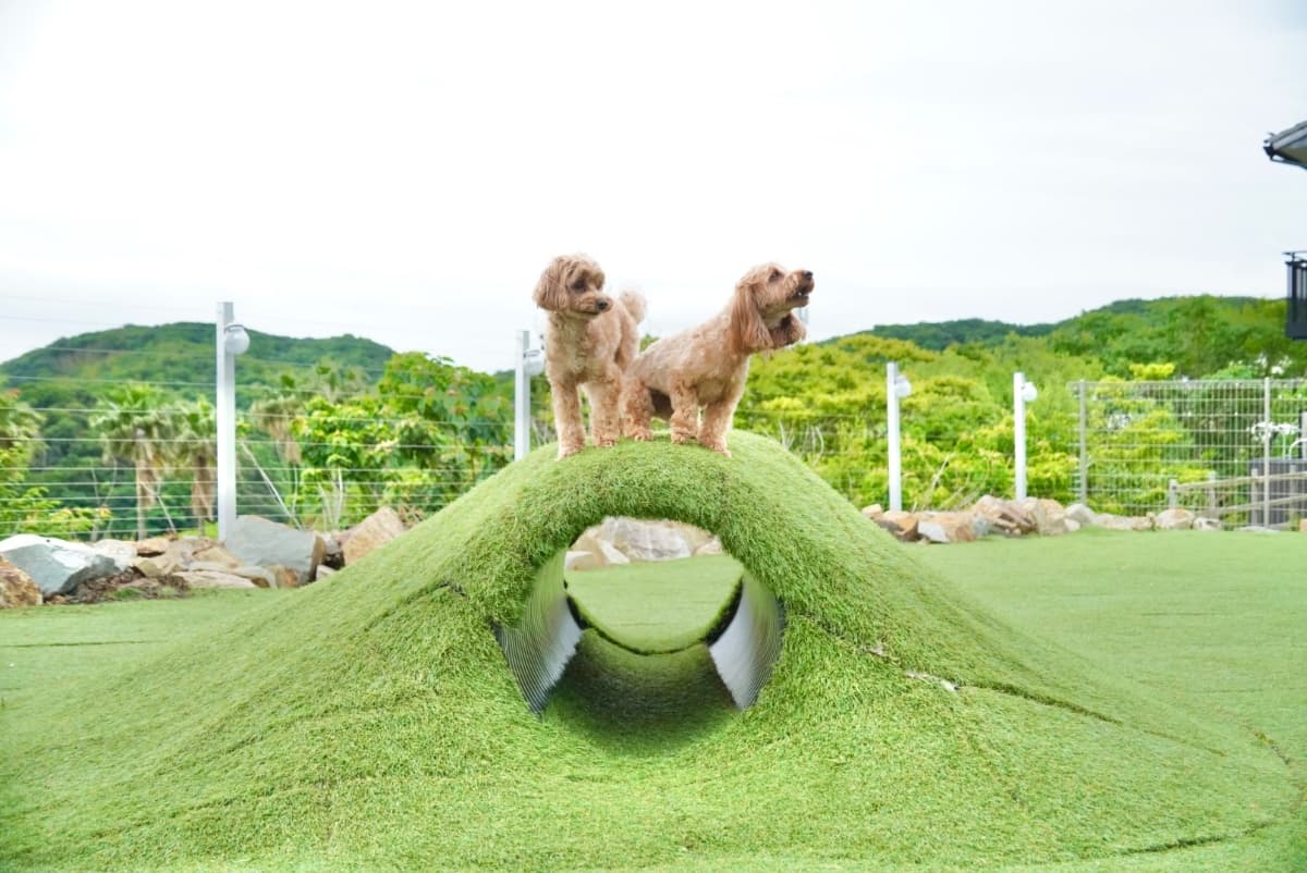口コミ写真5
