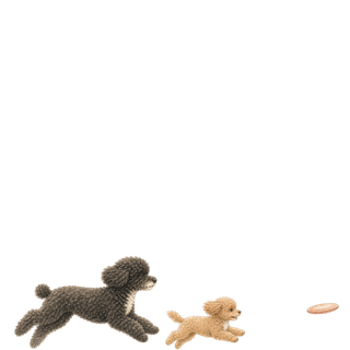 Walking Dog